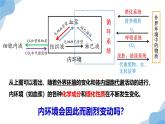 1.2 内环境的稳态 课件（人教版2019选必1）