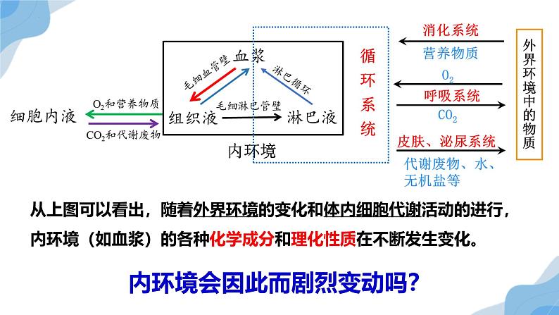 1.2 内环境的稳态 课件（人教版2019选必1）04