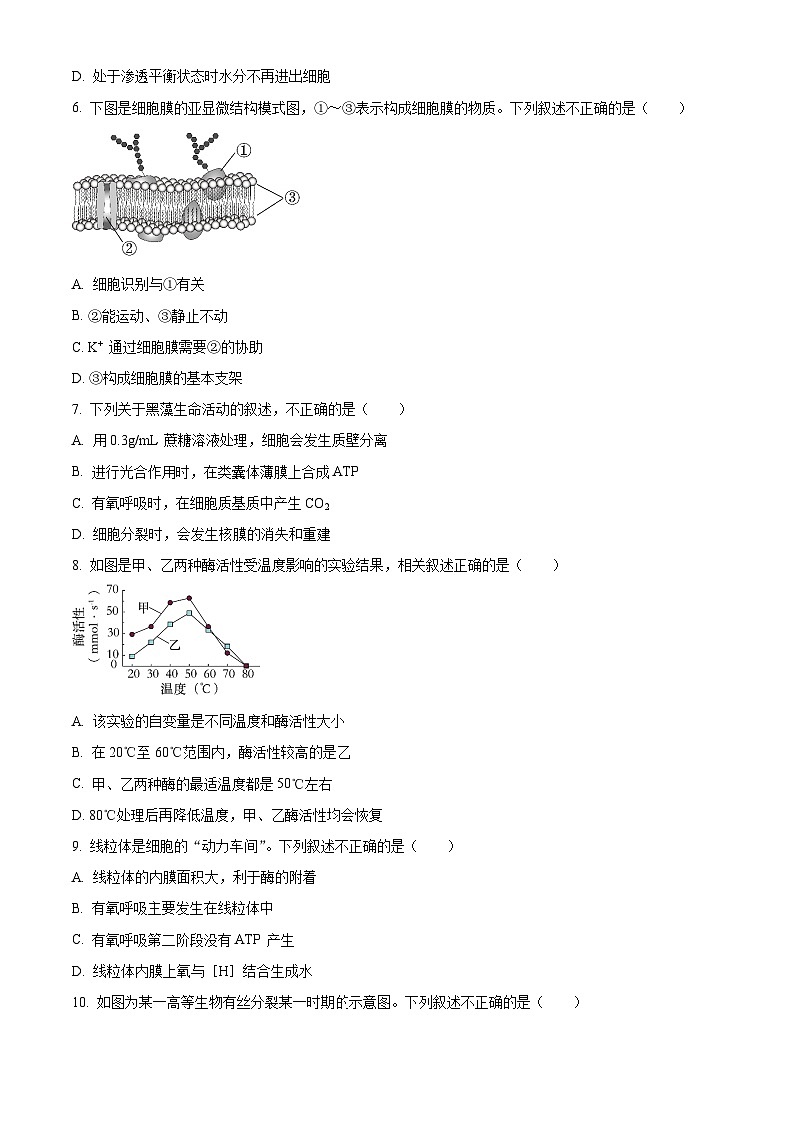 北京市海淀区2023-2024学年高一上学期期末考试生物试题（Word版附解析）02