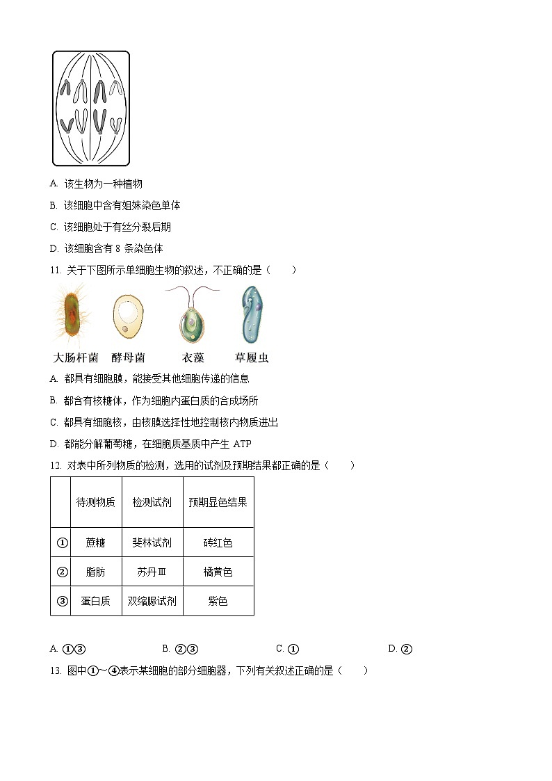 北京市海淀区2023-2024学年高一上学期期末考试生物试题（Word版附解析）03