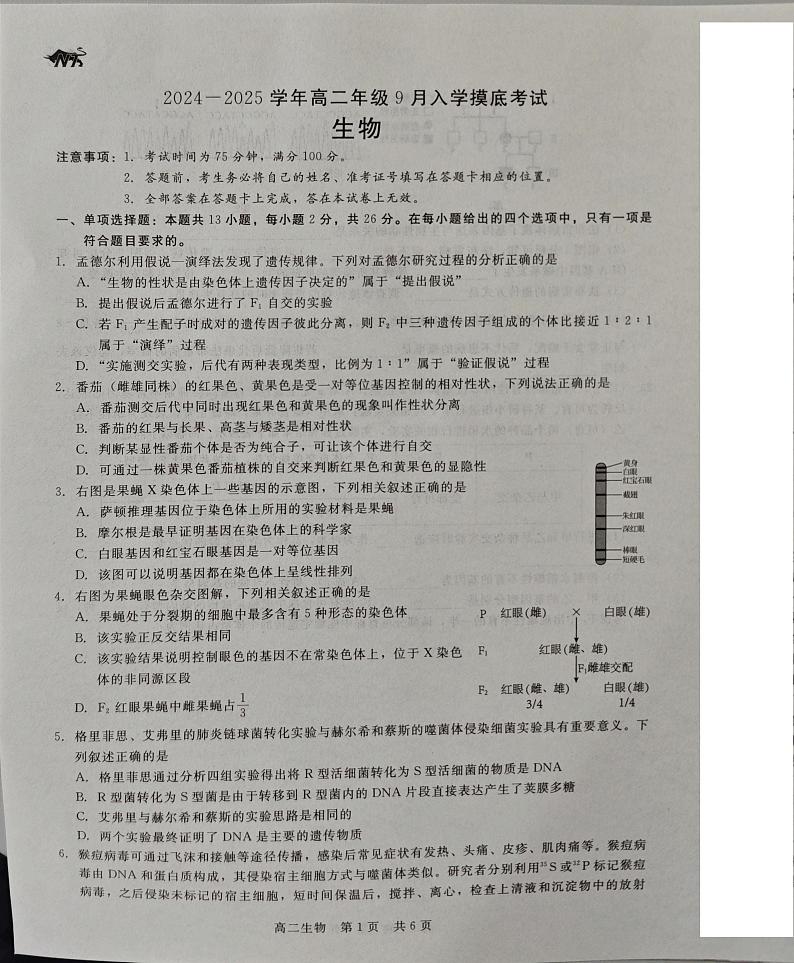 河北省尚义县第一中学等校2024-2025学年高二年上学期入学考试生物试题01