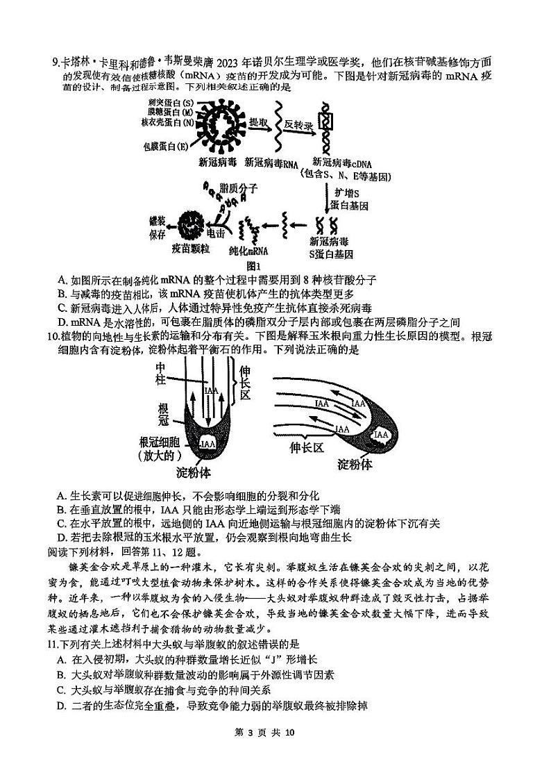 浙江省2024-2025学年高三上学期开学生物试题第3页