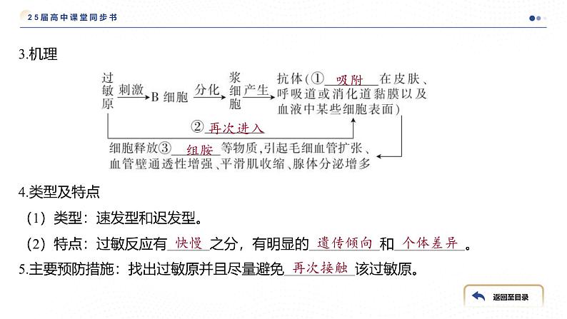 2024-2025学年 生物人教版 选择性必修一   免疫失调 课件05