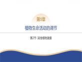 2024-2025学年生物 人教版 选择性必修一   其他植物激素 课件