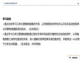 2024-2025学年生物 人教版 选择性必修一   其他植物激素 课件