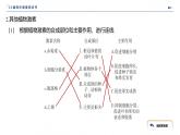 2024-2025学年生物 人教版 选择性必修一   其他植物激素 课件