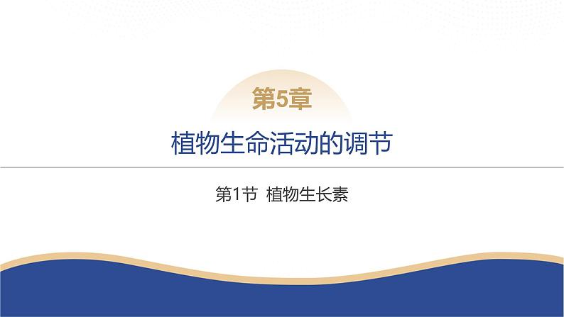 2024-2025学年生物 人教版 选择性必修一   植物生长素 课件第8页