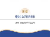 2024-2025学年 生物人教版 选择性必修一   植物生长调节剂的应用 课件