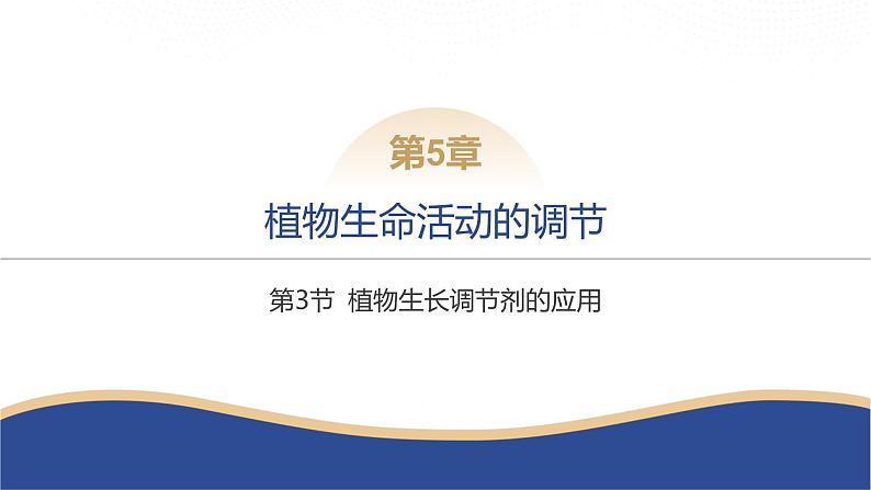 2024-2025学年 生物人教版 选择性必修一   植物生长调节剂的应用 课件01