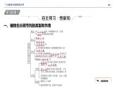 2024-2025学年 生物人教版 选择性必修一   植物生长调节剂的应用 课件