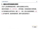 2024-2025学年 生物人教版 选择性必修一   植物生长调节剂的应用 课件