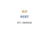 2024-2025学年生物 人教版 选择性必修一  人脑的高级功能  课件