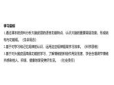 2024-2025学年生物 人教版 选择性必修一  人脑的高级功能  课件