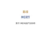 2024-2025学年 生物人教版 选择性必修一  神经冲动的产生和传导  课件