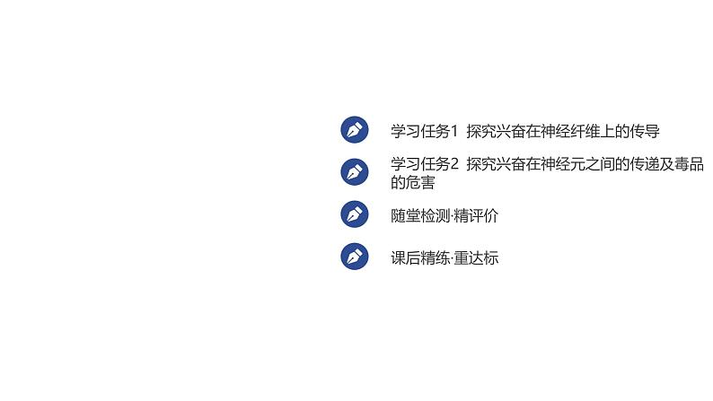 2024-2025学年 生物人教版 选择性必修一  神经冲动的产生和传导  课件02