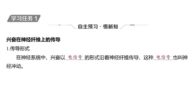 2024-2025学年 生物人教版 选择性必修一  神经冲动的产生和传导  课件04