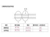 2024-2025学年 生物人教版 选择性必修一  神经冲动的产生和传导  课件