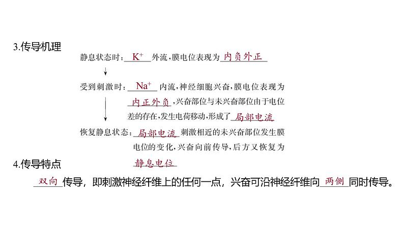 2024-2025学年 生物人教版 选择性必修一  神经冲动的产生和传导  课件06