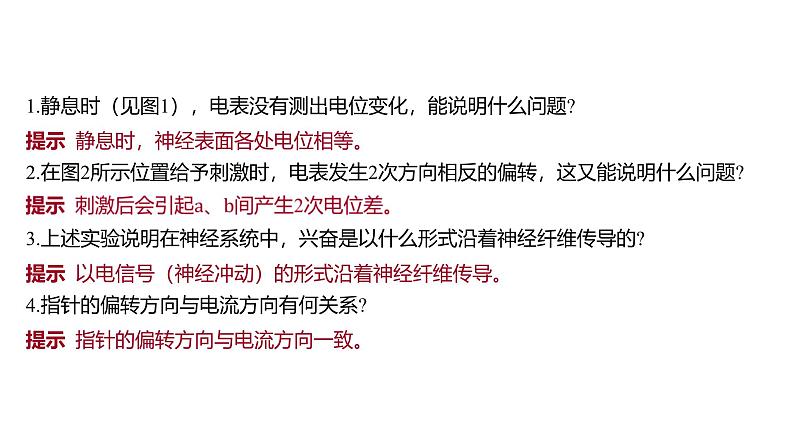 2024-2025学年 生物人教版 选择性必修一  神经冲动的产生和传导  课件08