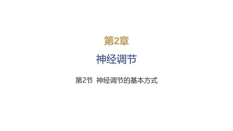 2024-2025学年 生物人教版 选择性必修一  神经调节的基本方式  课件第1页