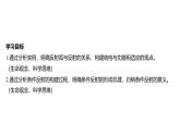 2024-2025学年 生物人教版 选择性必修一  神经调节的基本方式  课件