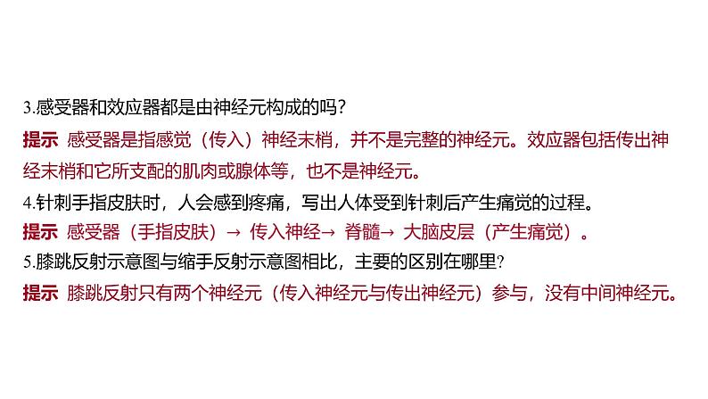 2024-2025学年 生物人教版 选择性必修一  神经调节的基本方式  课件第7页