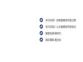 2024-2025学年生物 人教版 选择性必修一 激素调节的过程  课件