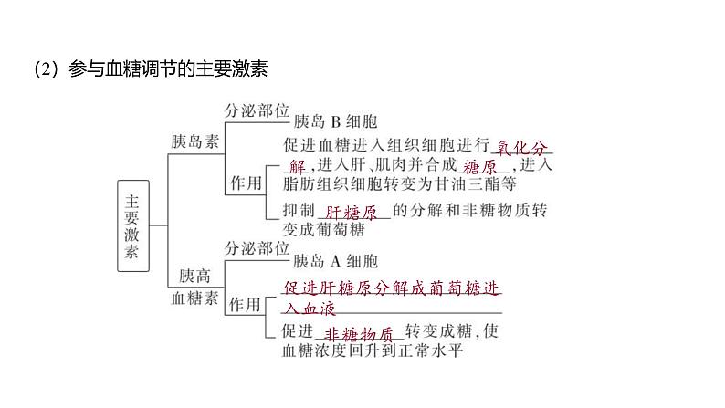 2024-2025学年生物 人教版 选择性必修一 激素调节的过程  课件第5页