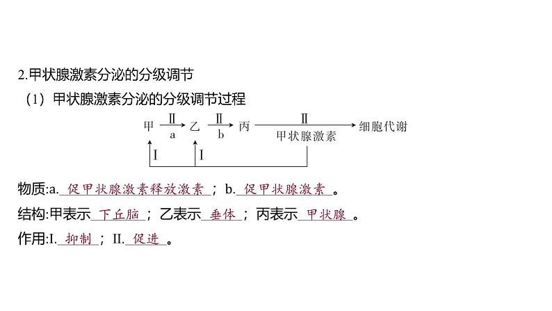 2024-2025学年生物 人教版 选择性必修一 激素调节的过程  课件第8页