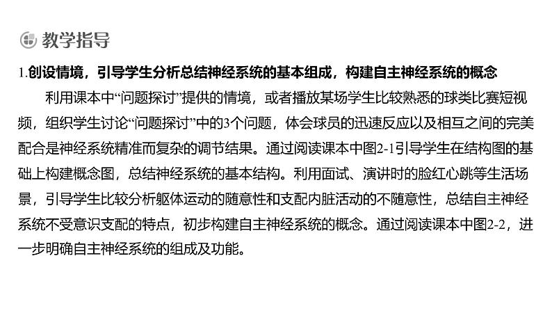 2024-2025学年 生物人教版 选择性必修一  神经调节的结构基础  课件第4页