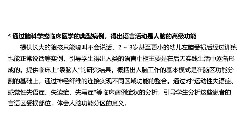 2024-2025学年 生物人教版 选择性必修一  神经调节的结构基础  课件第7页