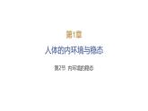 2024-2025学年生物 人教版 选择性必修一 内环境的稳态  课件