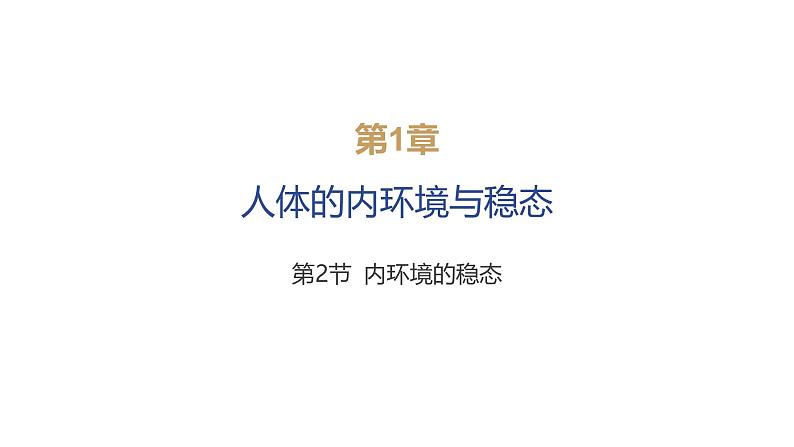 2024-2025学年生物 人教版 选择性必修一 内环境的稳态  课件第1页