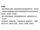 2024-2025学年生物 人教版 选择性必修一 内环境的稳态  课件