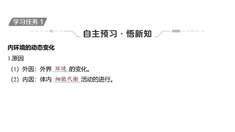 2024-2025学年生物 人教版 选择性必修一 内环境的稳态  课件第4页