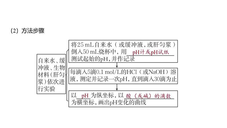 2024-2025学年生物 人教版 选择性必修一 内环境的稳态  课件第6页