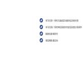 2024-2025学年 生物人教版 选择性必修一 神经系统的分级调节  课件