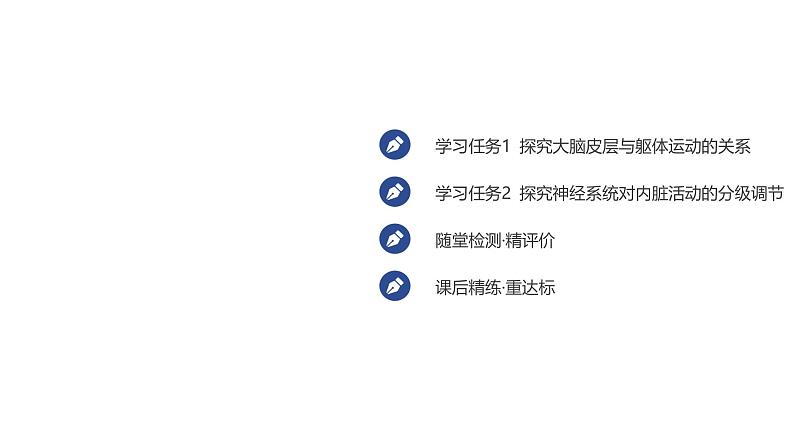 2024-2025学年 生物人教版 选择性必修一 神经系统的分级调节  课件第2页