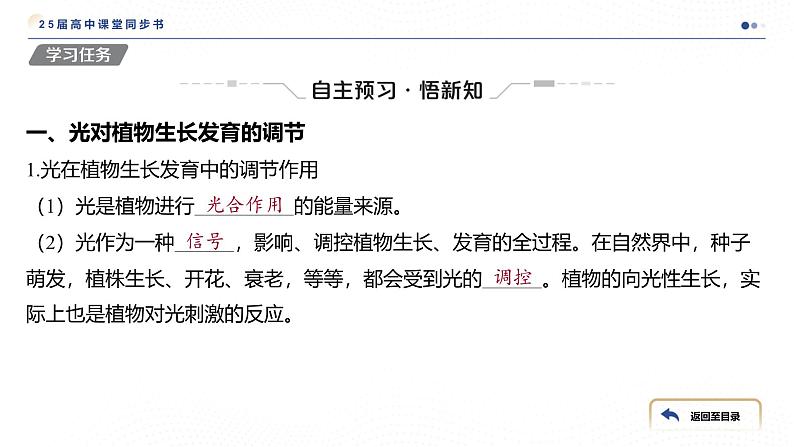 2024-2025学年 生物人教版 选择性必修一   环境因素参与调节植物的生命活动 课件第4页