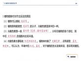 2024-2025学年 生物人教版 选择性必修一   环境因素参与调节植物的生命活动 课件