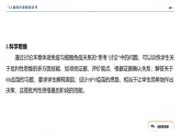 2024-2025学年 生物人教版 选择性必修一  免疫系统的组成和功能  课件