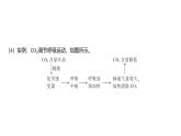 2024-2025学年 生物人教版 选择性必修一  体液调节与神经调节的关系  课件