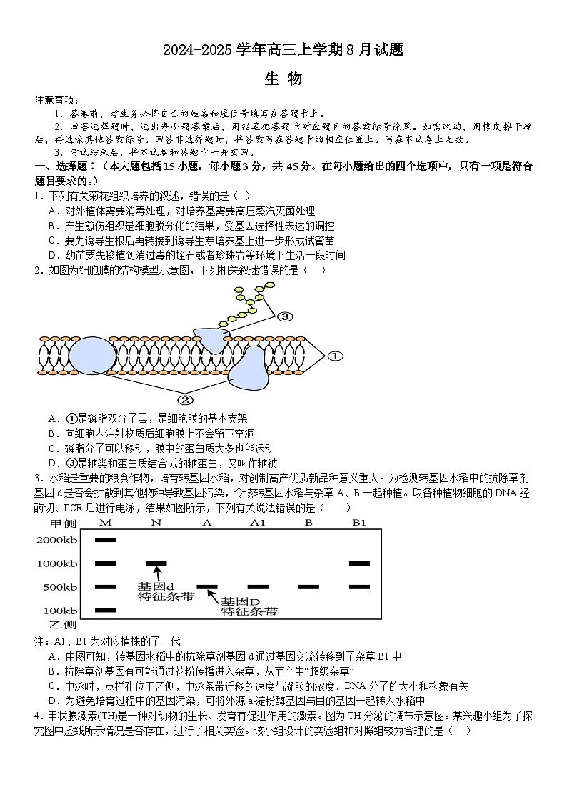 河南省安阳市林州市第一中学2024-2025高三上学期8月月考生物试题（Word版附解析）第1页