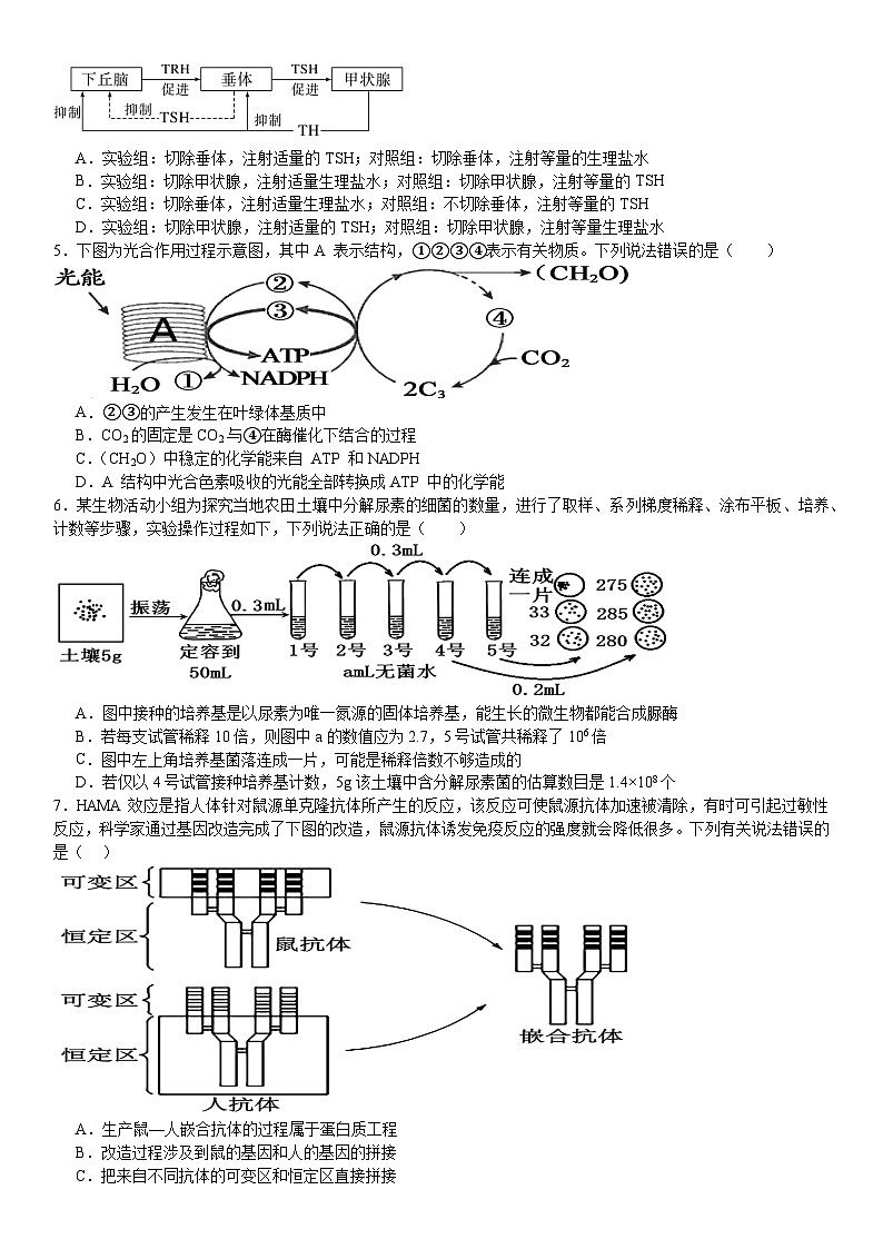 河南省安阳市林州市第一中学2024-2025高三上学期8月月考生物试题（Word版附解析）第2页