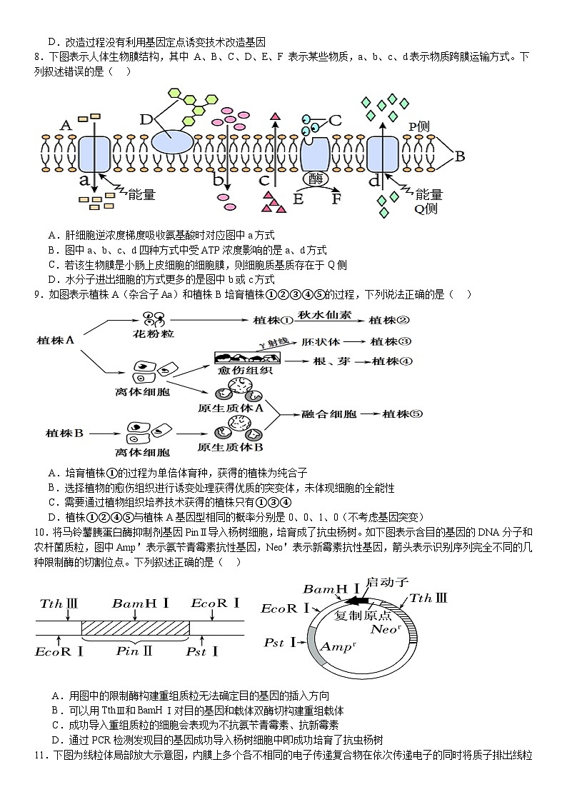 河南省安阳市林州市第一中学2024-2025高三上学期8月月考生物试题（Word版附解析）第3页
