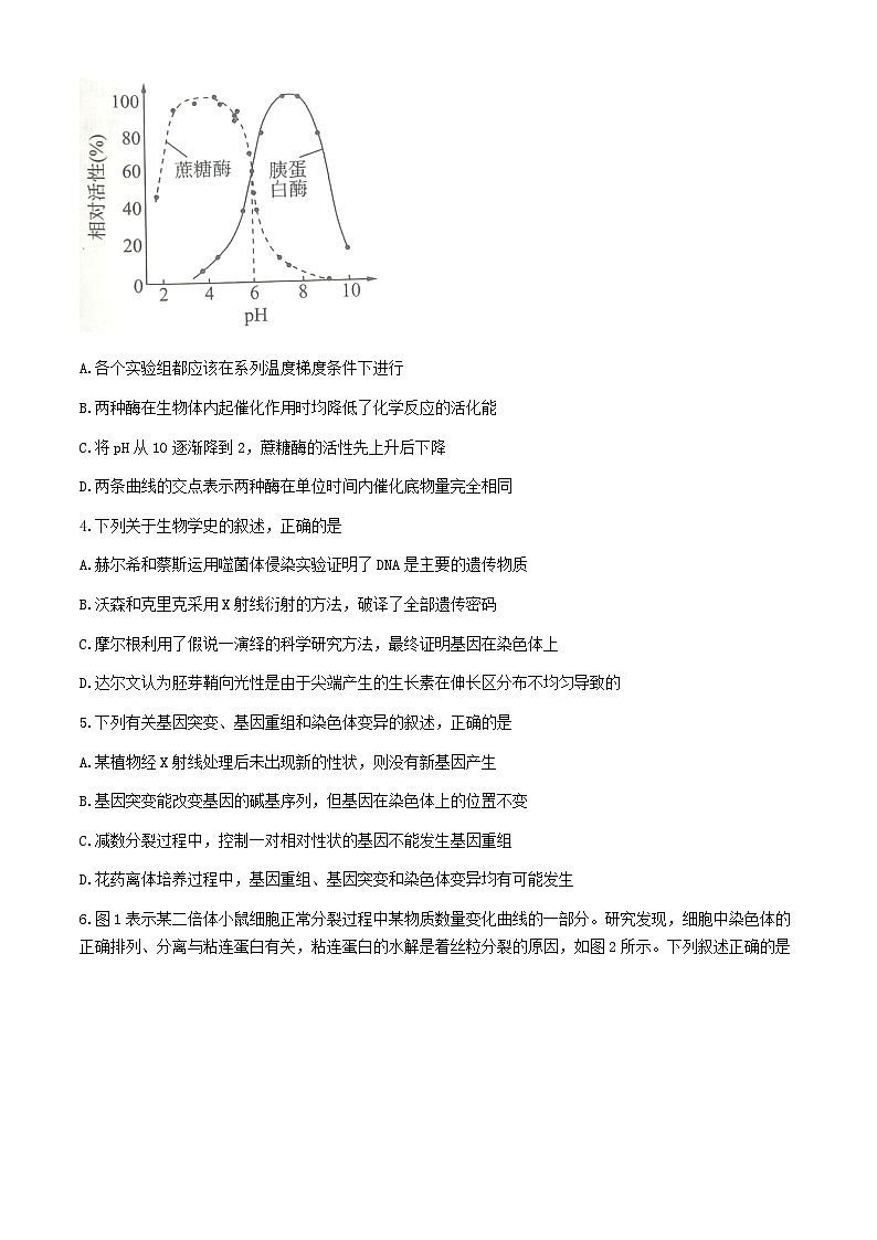 四川省达州市通川区2024-2025学年高三上学期开学考试生物试题（Word版附解析）第2页