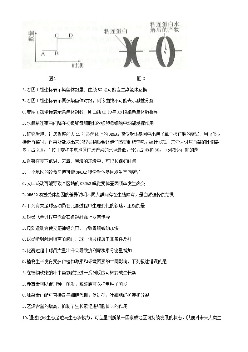 四川省达州市通川区2024-2025学年高三上学期开学考试生物试题（Word版附解析）第3页