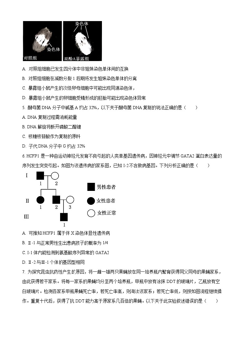 北京市东城区2023-2024学年高三上学期期末考试生物试卷（Word版附解析）02
