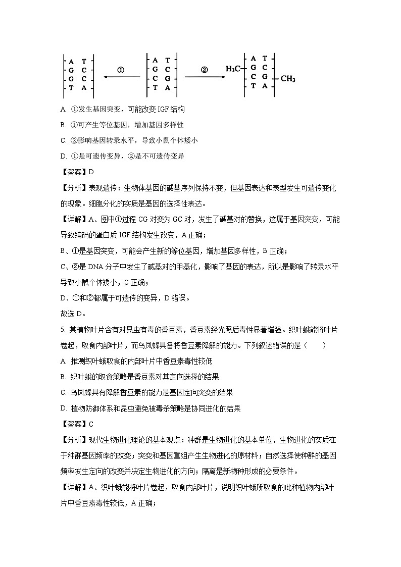 [生物]2024届福建省漳州市高三下学期毕业班第四次教学质量检测(解析版)第3页