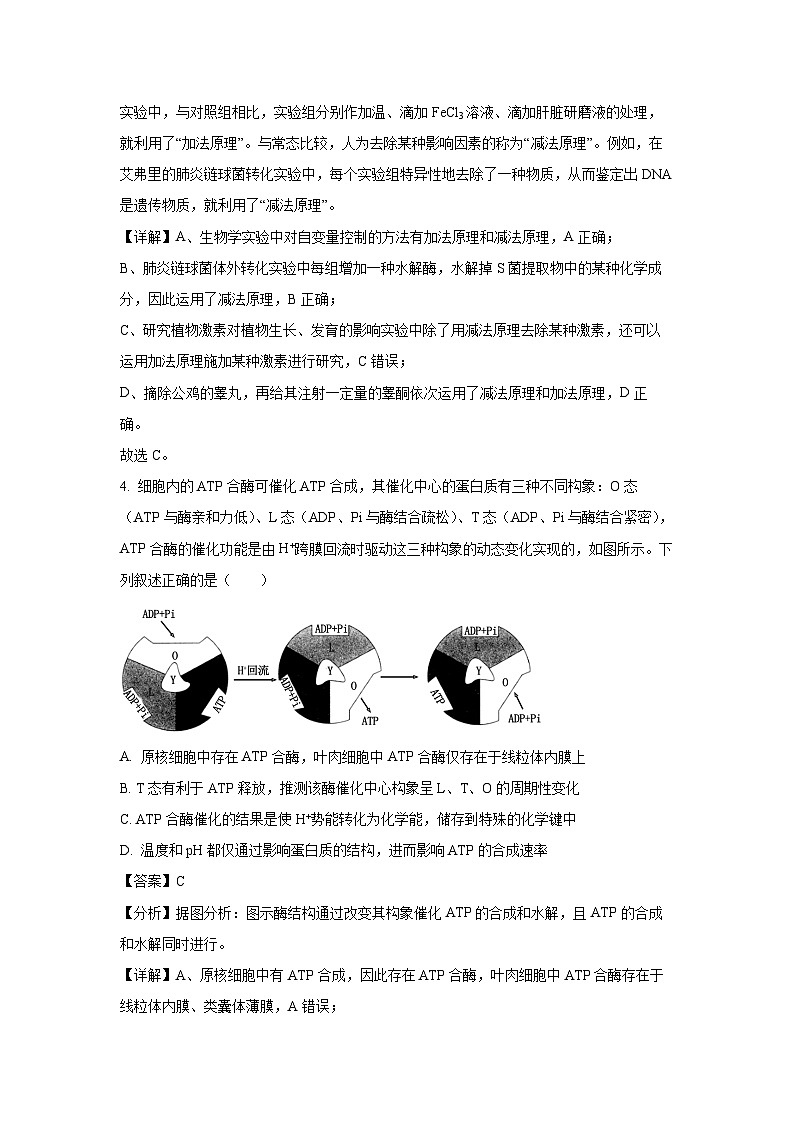 [生物]2024届辽宁省名校联高三高考模拟卷(四)(解析版)第3页